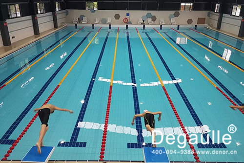 戴高樂恒溫<a href='http://www.917shu.cn' class='keys' title='點擊查看關(guān)于泳池工程的相關(guān)信息' target='_blank'>泳池工程</a>